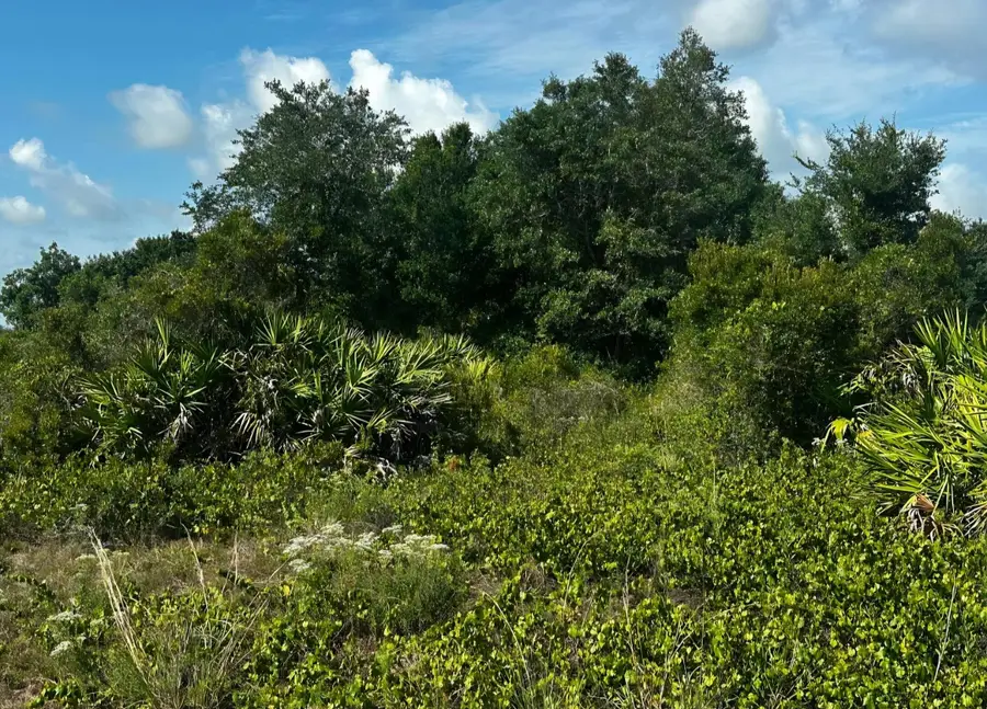 16326 NW 314th Street, Okeechobee, FL 34972 - #2