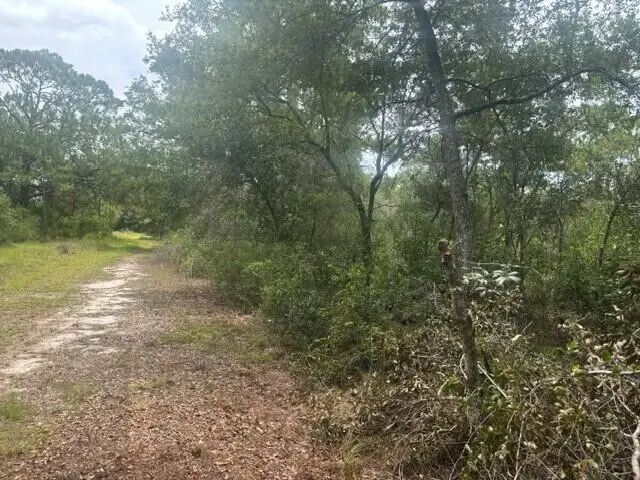 2225 W Wells Road, Avon Park, FL 33825 - #1