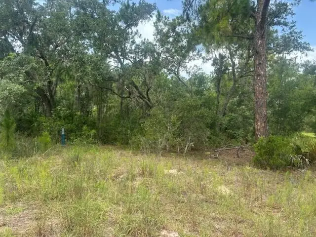 2225 W Wells Road, Avon Park, FL 33825 - #2