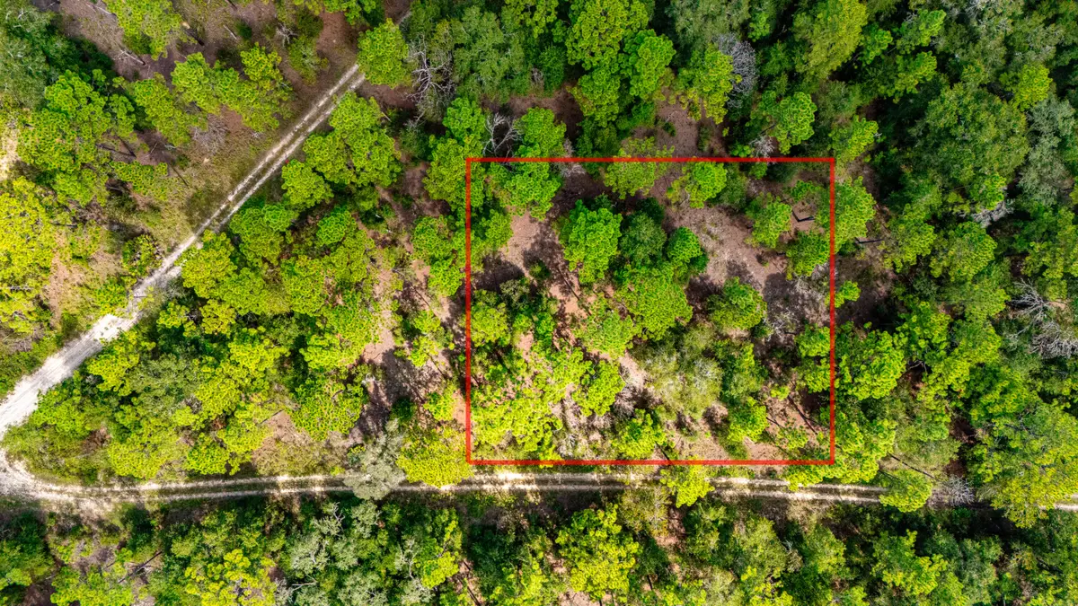 15515 SW 25th Place, Ocala, FL 34481 - #1