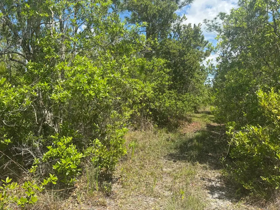 0 Holopaw Groves Road, Saint Cloud, FL 34772 - #2