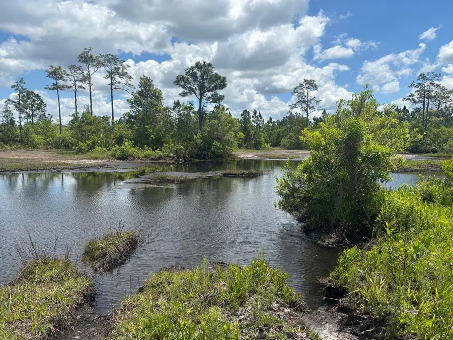 0 Holopaw Groves Road, Saint Cloud, FL 34772 - #2