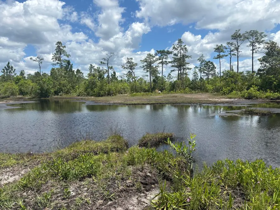 0 Holopaw Groves Road, Saint Cloud, FL 34772 - #3