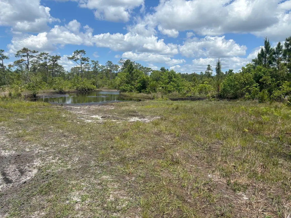 0 Holopaw Groves Road, Saint Cloud, FL 34772 - #1