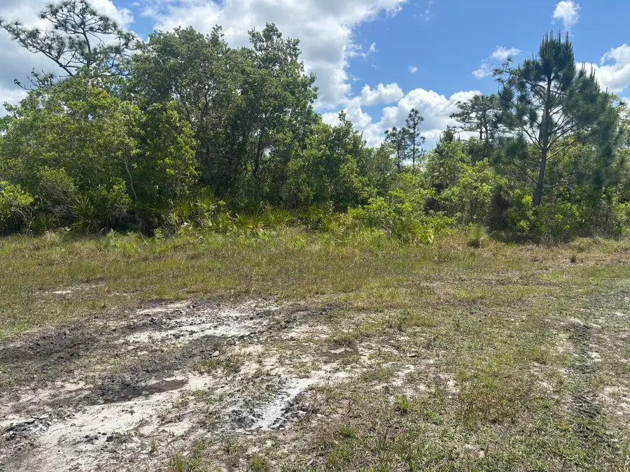0 Holopaw Groves Road, Saint Cloud, FL 34772 - #2