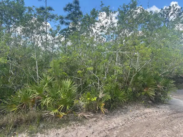 0 Holopaw Groves Road, St Cloud, FL 34772