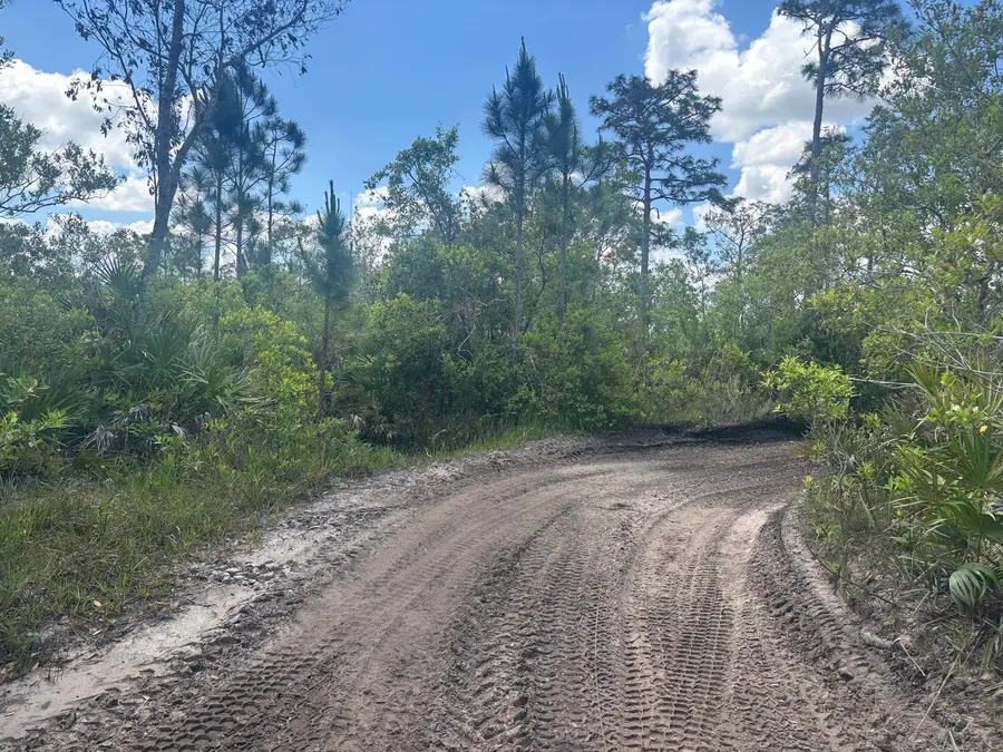 0 Holopaw Groves Road, Saint Cloud, FL 34772 - #2