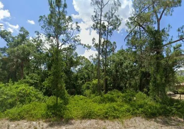 2117 Irving Avenue, Alva, FL 33920