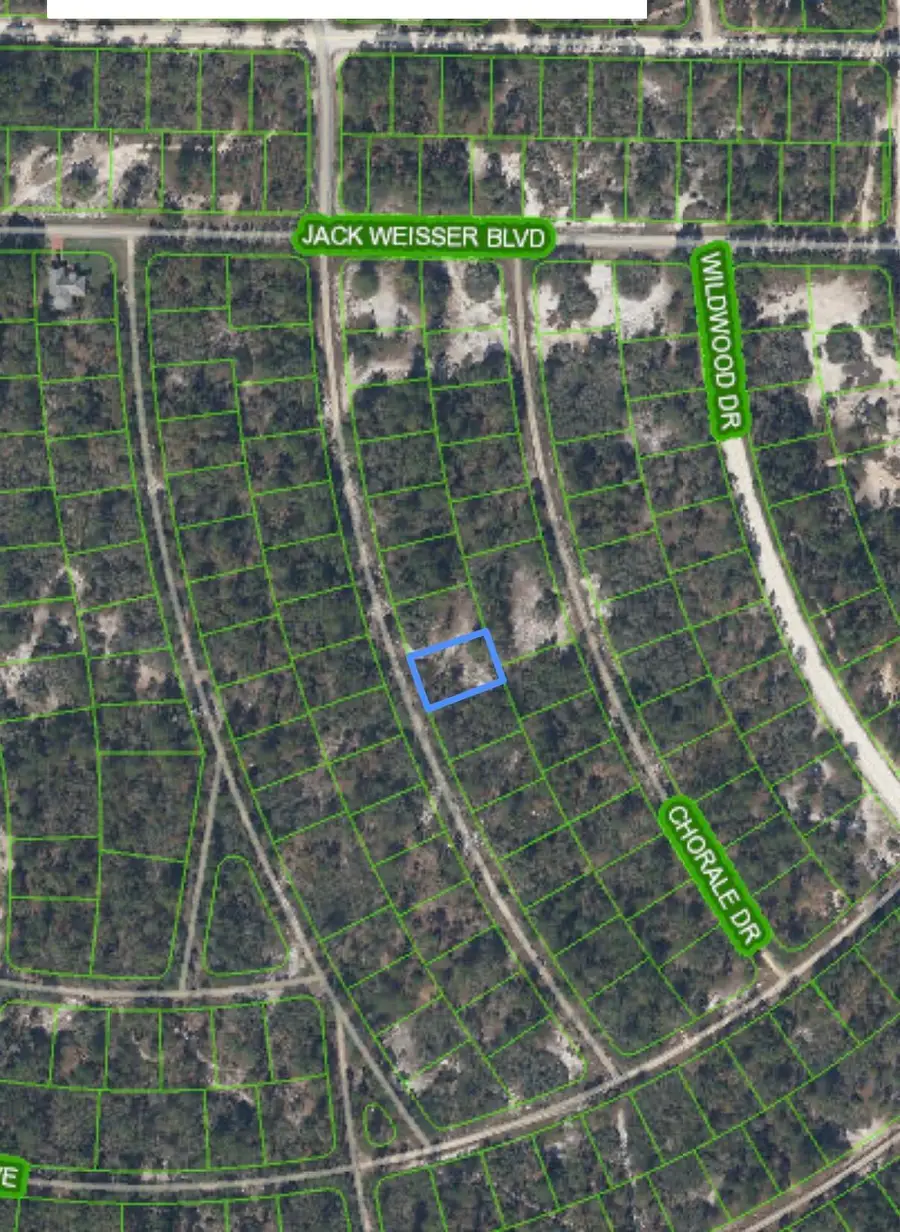 375 Concert Drive, Lake Placid, FL 33852 - #2