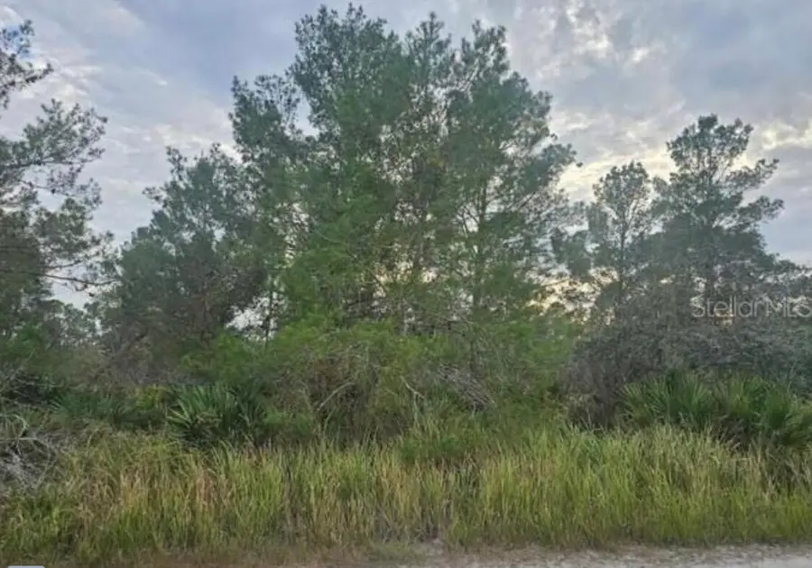 2200 Carla Avenue, Sebring, FL 33875 - #2