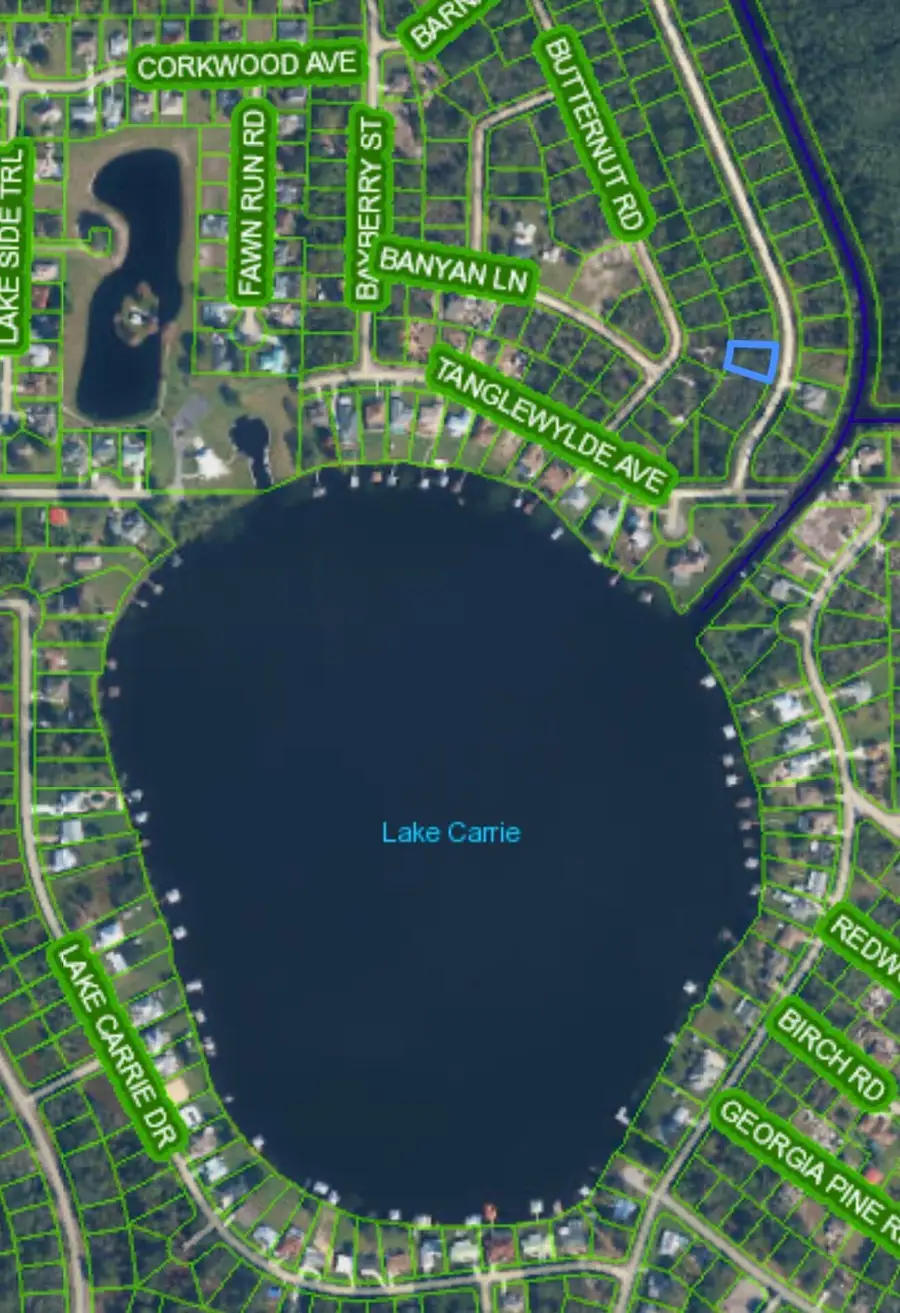 1108 Greenfield Street, Lake Placid, FL 33852 - #3