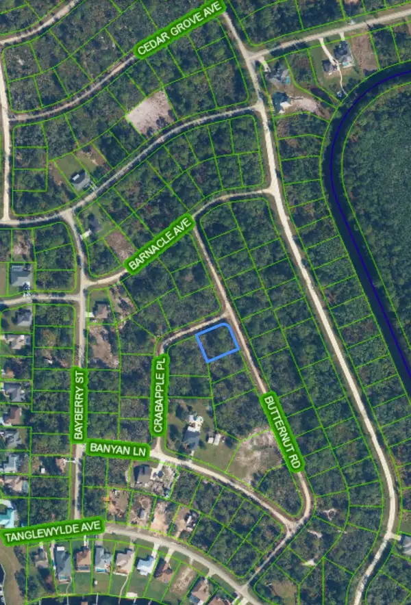 1123 Crabapple Place, Lake Placid, FL 33852