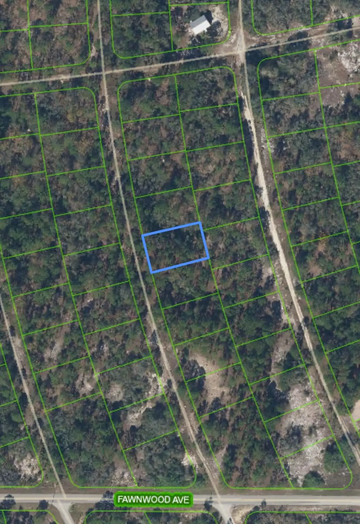 213 Sunflower Drive, Lake Placid, FL 33852 - #1