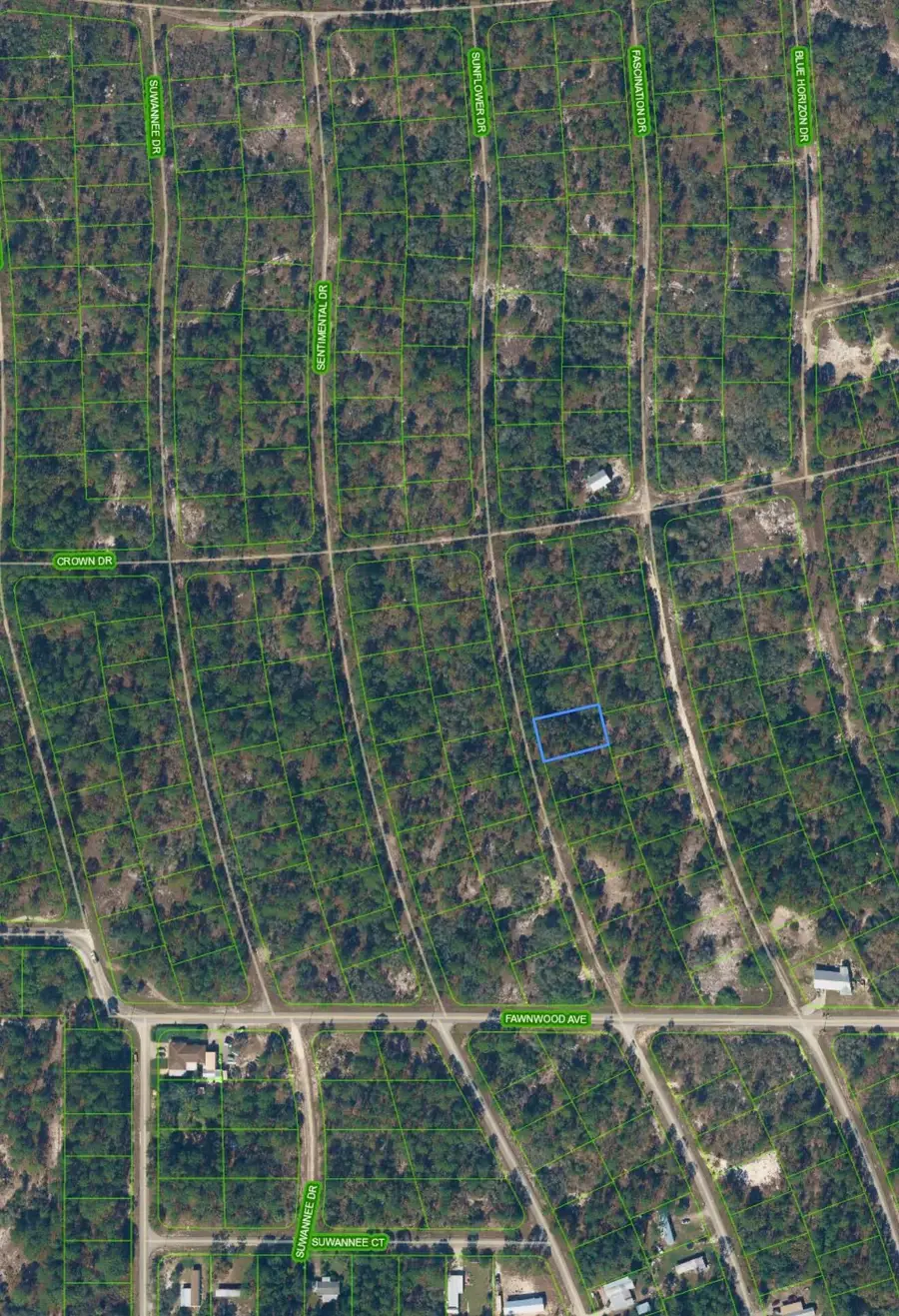 213 Sunflower Drive, Lake Placid, FL 33852 - #2