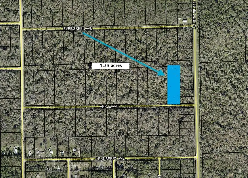 3540 Apple Avenue, Bunnell, FL 32110 - #1