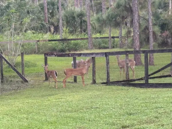 5637 Cougars Prowl, Wellington, FL 33449