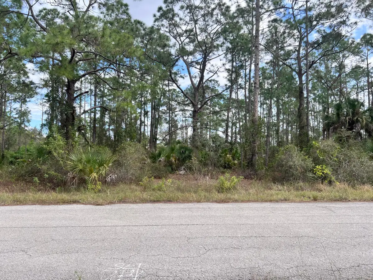 1610 Desoto Avenue, Lehigh Acres, FL 33972 - #1