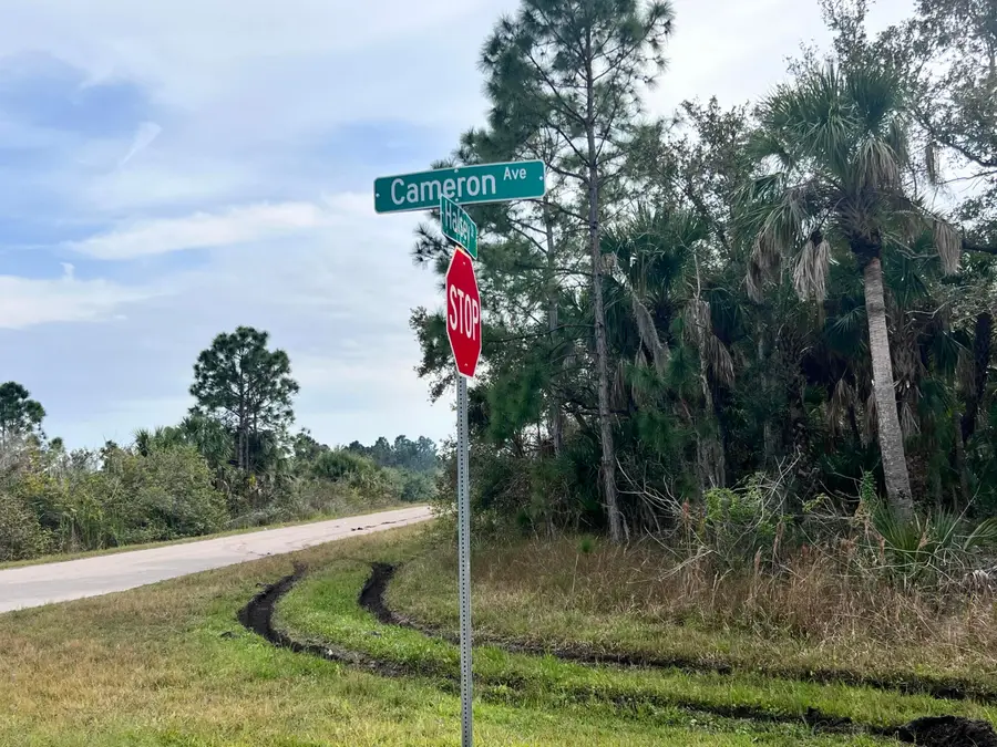 14248 Cameron Avenue, Port Charlotte, FL 33953 - #3