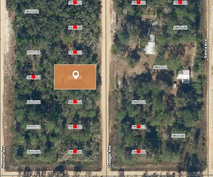 003 Creager Avenue, Interlachen, FL 32148 - #2