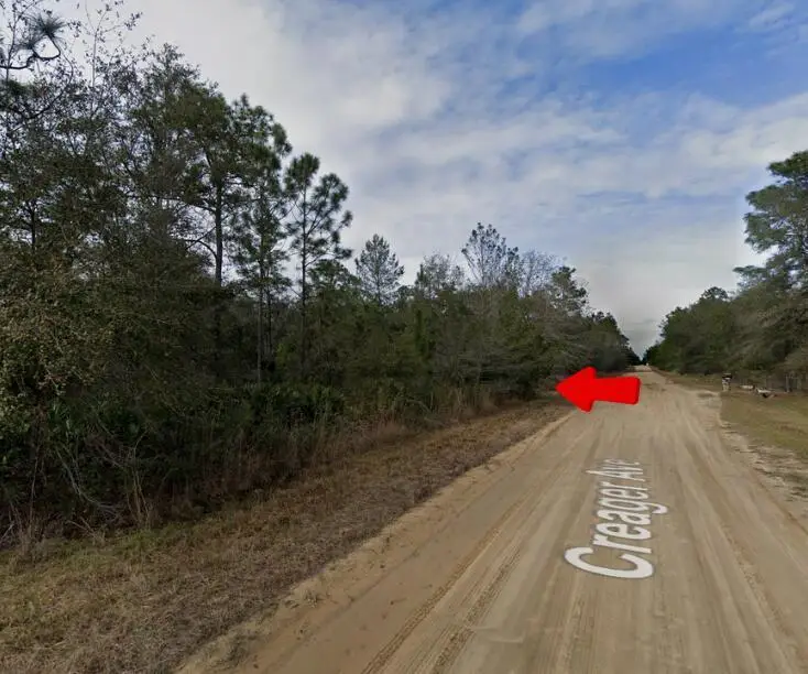 005 Creager Avenue, Interlachen, FL 32148 - #1