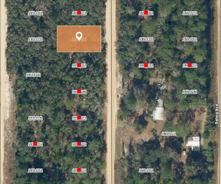 007 Creager Avenue, Interlachen, FL 32148 - #2