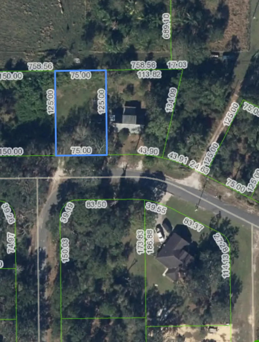 1513 Spring Lane, Lake Placid, FL 33852 - #3
