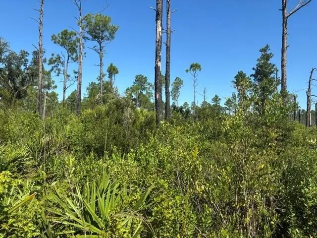0 Hwy 630e, Frostproof, FL 33843 - #1
