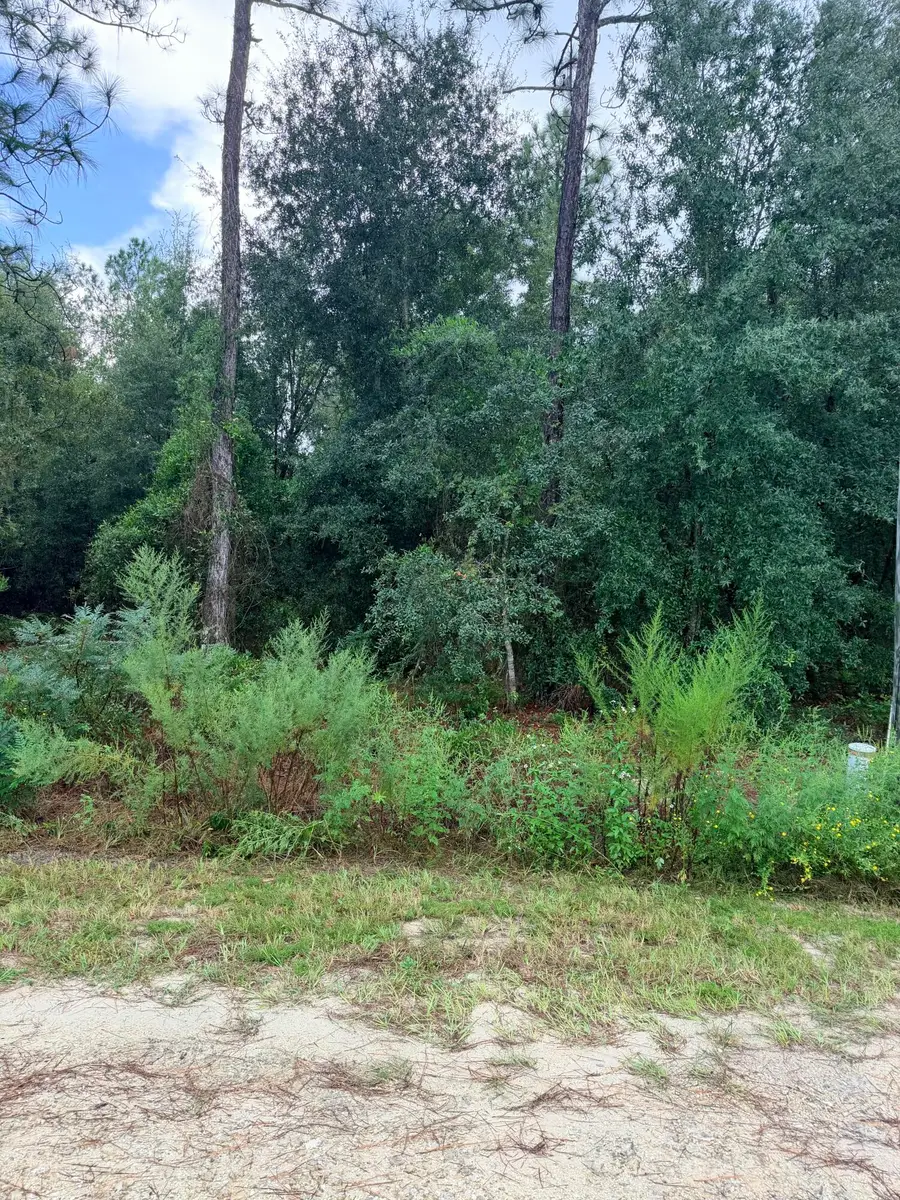 0 No Situs, Dunnellon, FL 34432 - #3