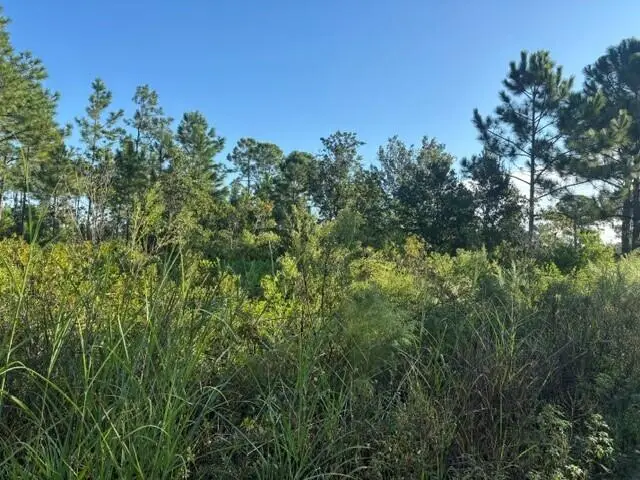 720 Parrot Avenue, Sebring, FL 33872 - #1