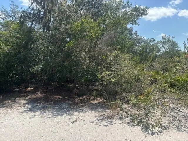 0 Holopaw Groves Road, Saint Cloud, FL 34772 - #2