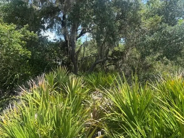 0 Holopaw Groves Road, Saint Cloud, FL 34772 - #3