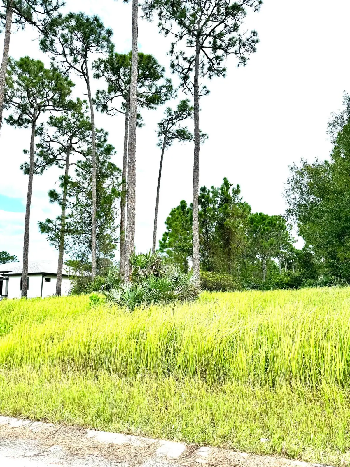 10615 Sugar Pine Drive, Fort Pierce, FL 34945 - #1