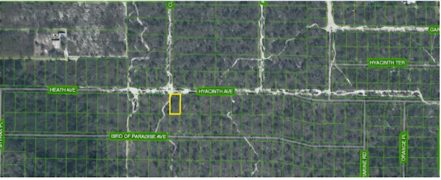 1437 Hyacinth Avenue, Sebring, FL 33875 - #2