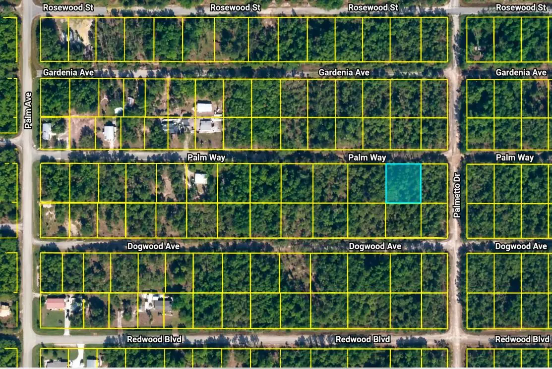 337 Palm Way, Georgetown, FL 32139 - #1