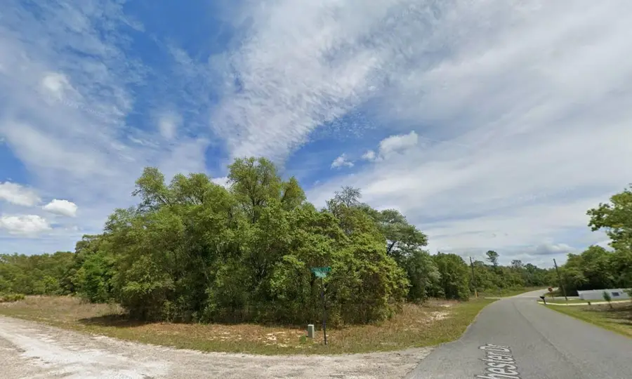 6371 N Coral Lily Drive, Dunnellon, FL 34434 - #2