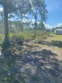 4538 Mignon Drive, Sebring, FL 33872 - #2