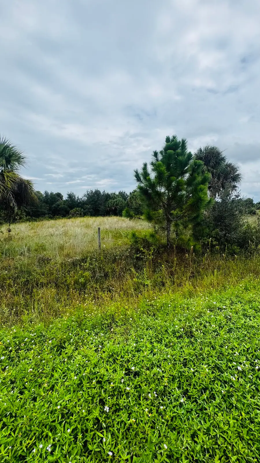 17011 NW 304th Street, Okeechobee, FL 34972 - #3