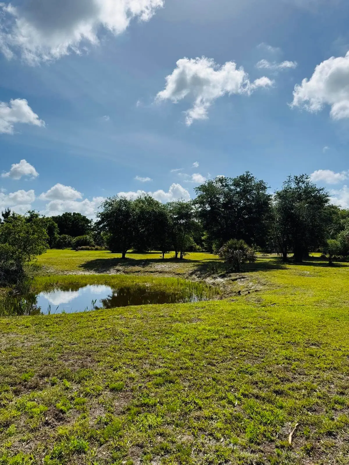 19636 NW 272nd Street, Okeechobee, FL 34972 - #1