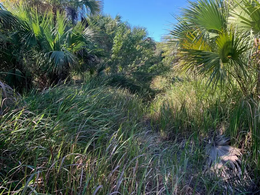 1767 Drake Avenue Sw, Palm Bay, FL 32908 - #3