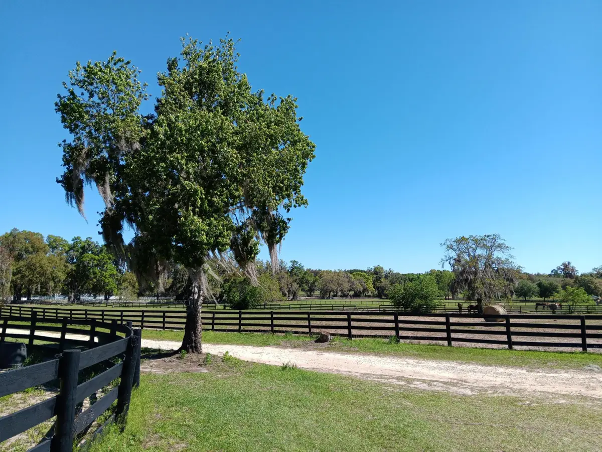 2630 NW 140th Street, Citra, FL 32113 - #1