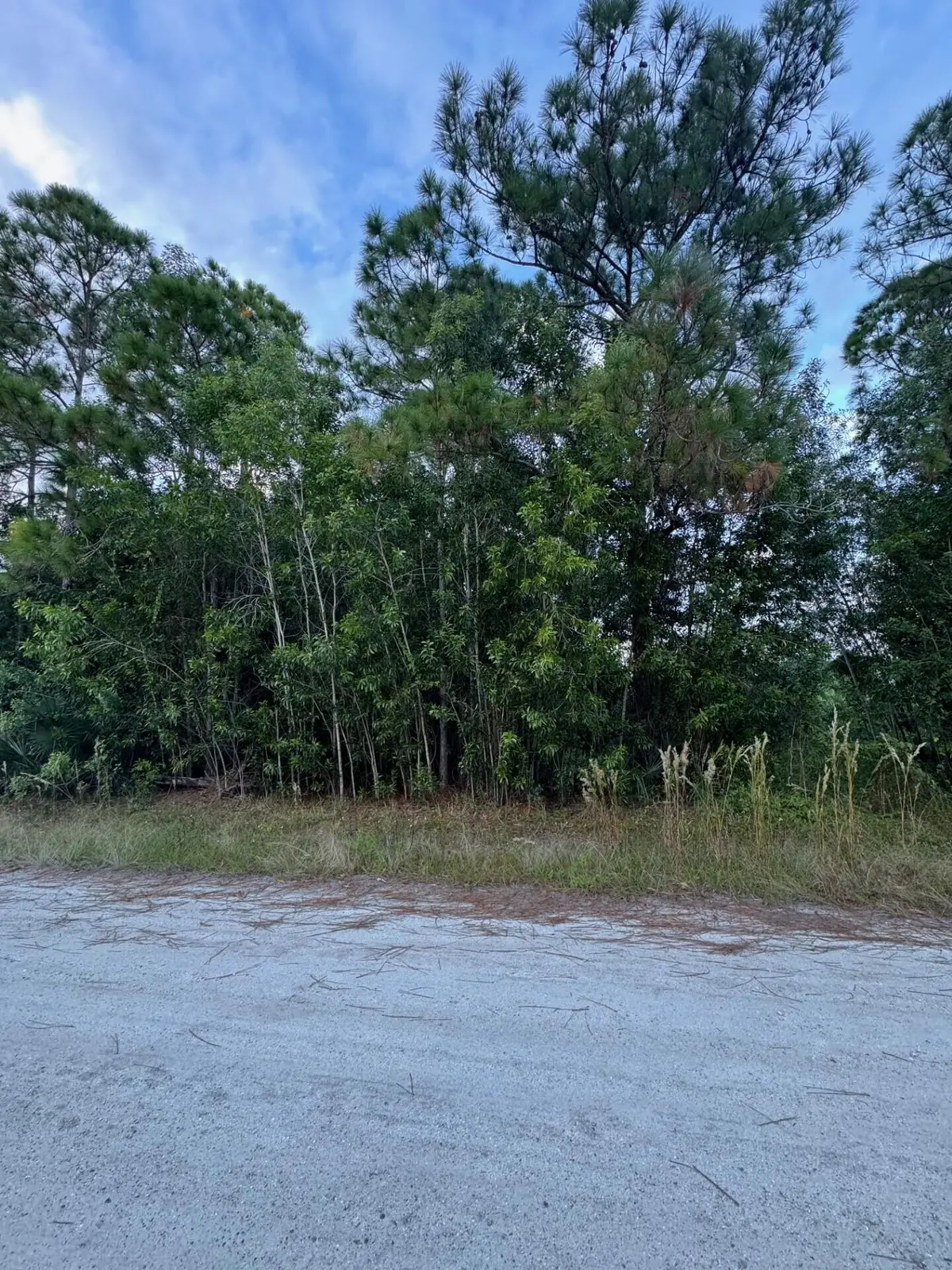 17895 70th Street N, Loxahatchee, FL 33470 - #1