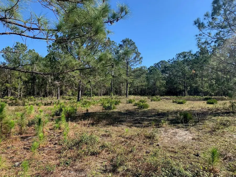 0 Poyner Road, Polk City, FL 33868 - #2