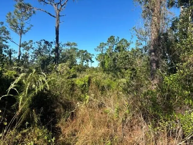 0 Fl-60, Lake Wales, FL 33853 - #2