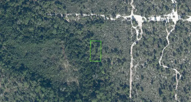 2324 Bird Of Paradise Avenue, Sebring, FL 33875 - #1