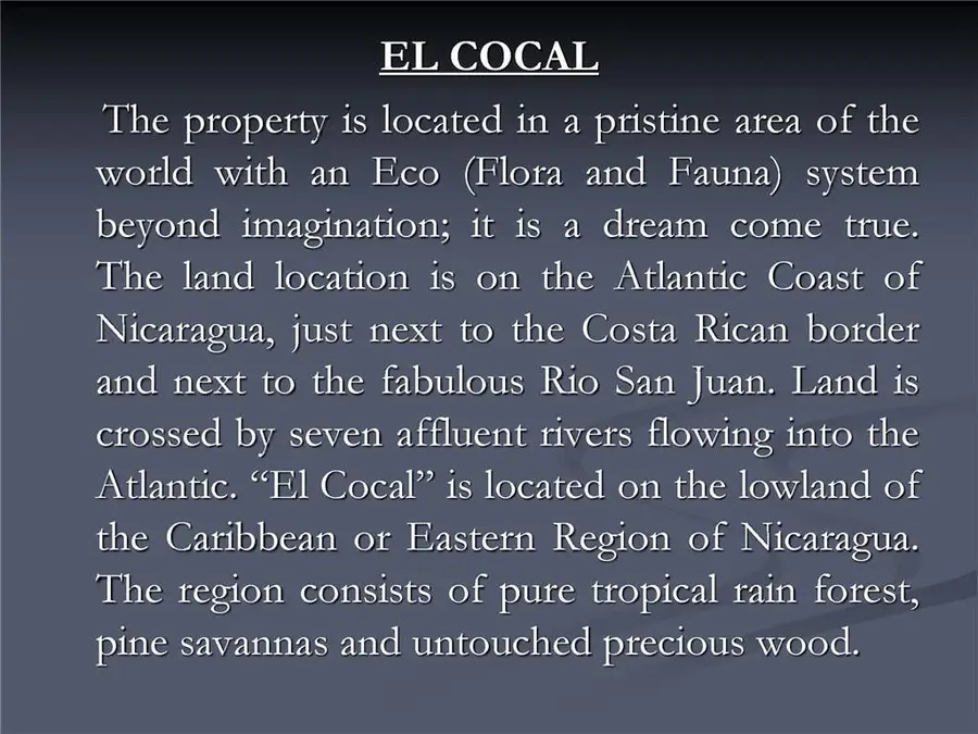 1001 Indian River, Cocoa, FL  - #2