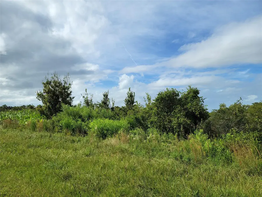 17275 NW 260th St, Okeechobee, FL 34972 - Image #2