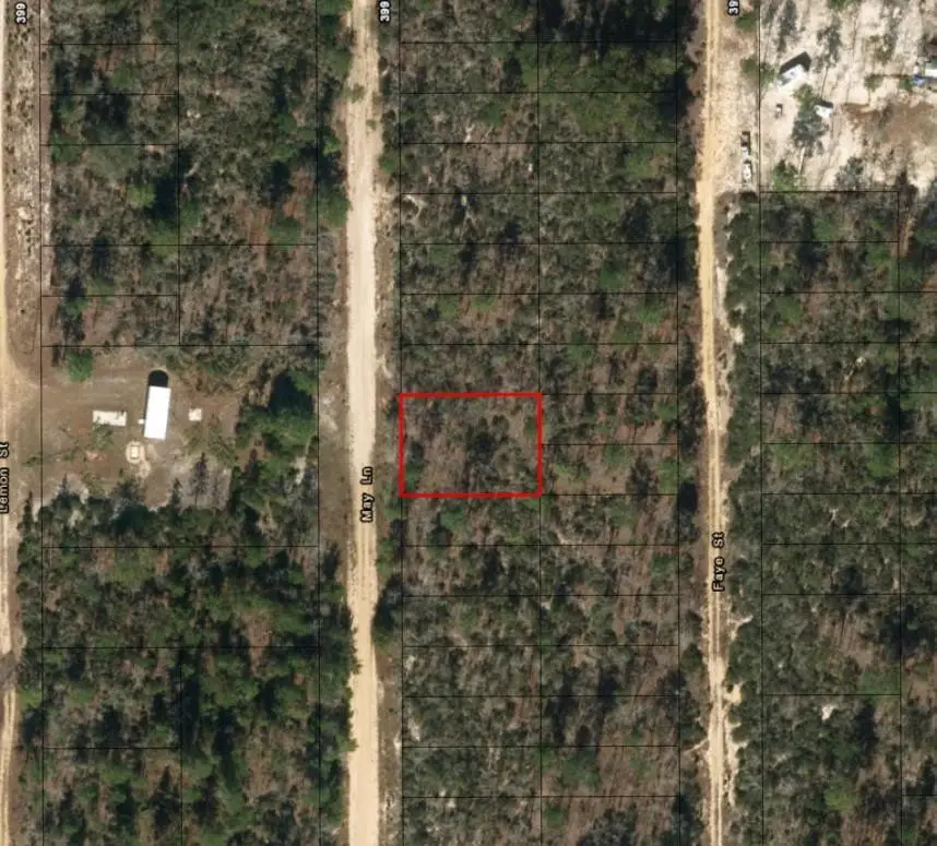 0 May Lane, Interlachen, FL 32148 - #2