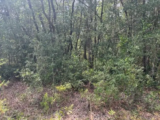 #3