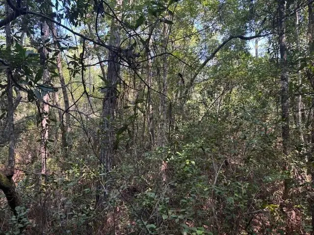 224 SE 8th Ave, Palatka, FL 32177 - Image #2