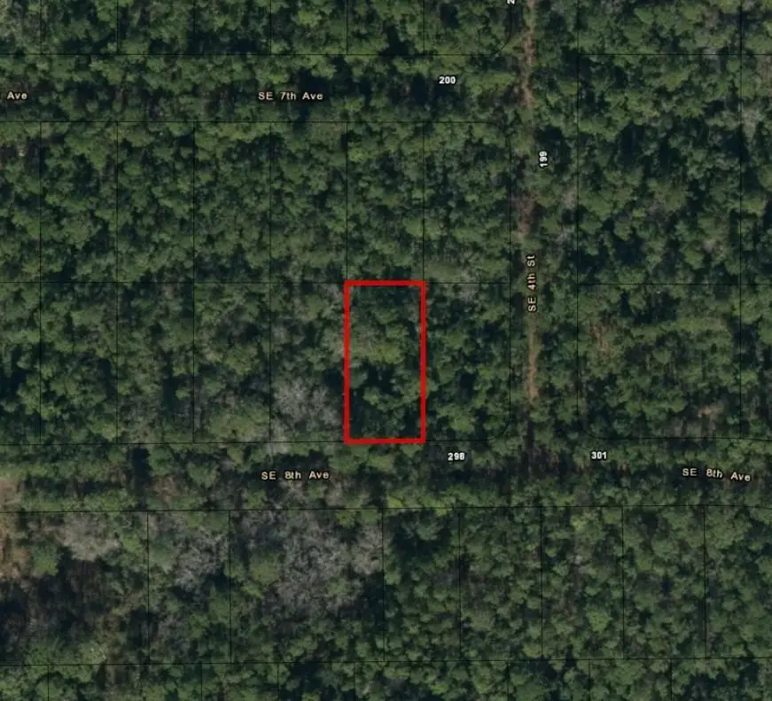 224 SE 8th Ave, Palatka, FL 32177 - Image #3